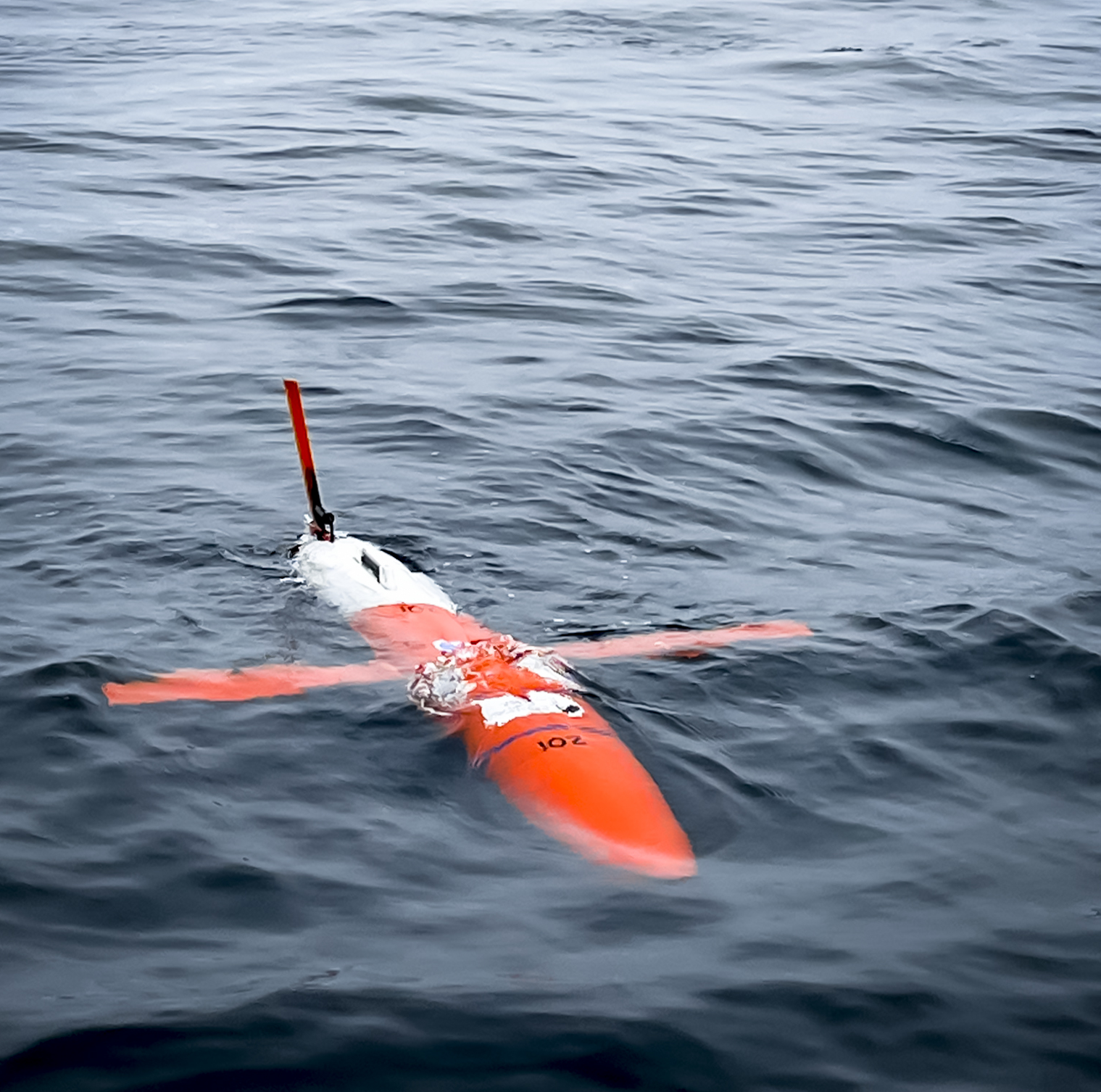 Autonomous glider deployed in the ocean